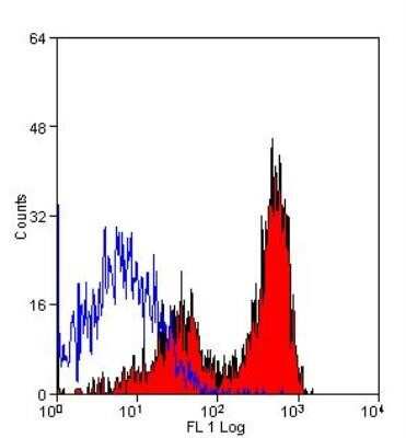 Flow Cytometry: CD11b Antibody (M1/70.15) - Azide and BSA Free [NBP2-80626]