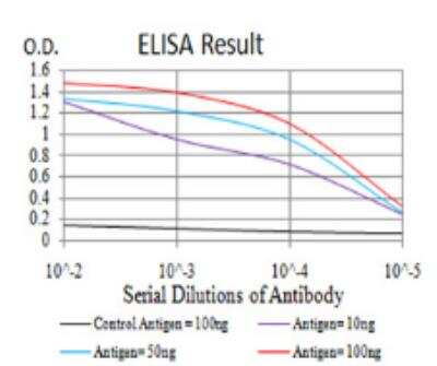 ELISA: CD133 Antibody (2F8C5) - BSA Free [NBP2-52473]