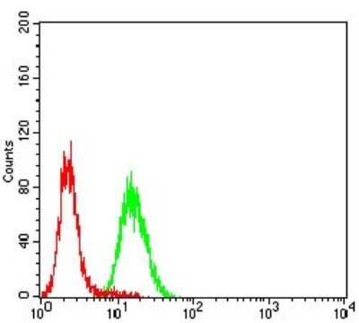 Flow Cytometry: CD133 Antibody (2F8C5) - BSA Free [NBP2-52473]