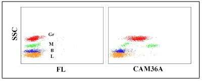 Flow Cytometry: CD14 Antibody (CAM36A) - BSA Free [NBP2-60837]