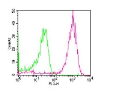 Flow Cytometry: CD14 Antibody (RPA-M1) - Azide Free [NBP2-27215]