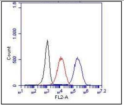 Flow Cytometry: CD14 Antibody (Sa14-2) [NBP1-51121]