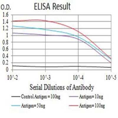 ELISA: Fc gamma RIIIA/CD16a Antibody (2G10A9) - BSA Free [NBP2-61693]