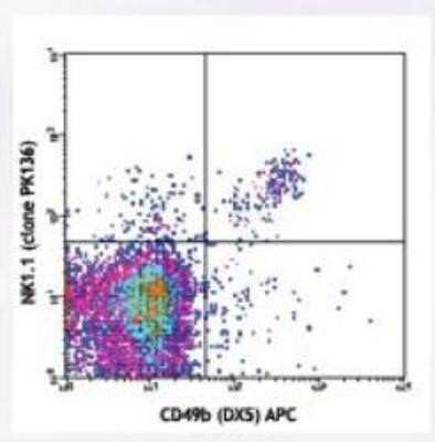 Flow Cytometry: CD161/NK1.1 Antibody (PK136) - Azide and BSA Free [NBP2-80631]