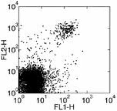 Flow Cytometry: CD161/NK1.1 Antibody (PK136) - Azide and BSA Free [NBP2-80631]