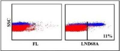 Flow Cytometry: CD163 Antibody (LND68A) [NBP2-60845]