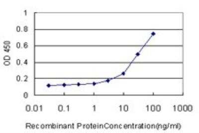 ELISA: CD177 Antibody (4C4) [H00057126-M01]