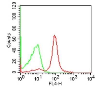 Flow (Cell Surface): CD19 Antibody (1D3) - Azide and BSA Free [NBP2-80633]