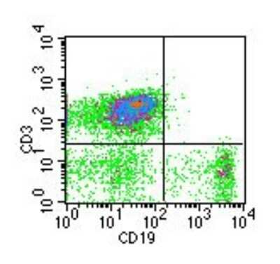 Flow Cytometry: CD19 Antibody (1D3) - Azide and BSA Free [NBP2-24965]