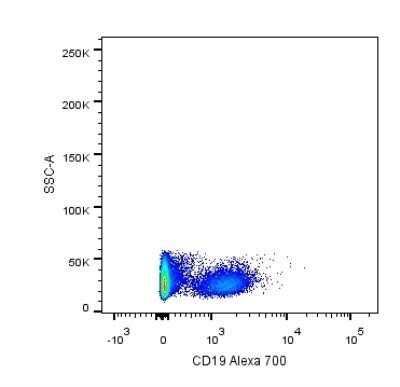 Flow Cytometry: CD19 Antibody (CB19) - Azide and BSA Free [NBP2-80634]