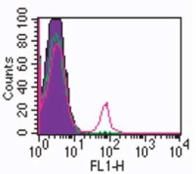 Flow Cytometry: CD19 Antibody (CB19) - Azide and BSA Free [NBP2-80634]