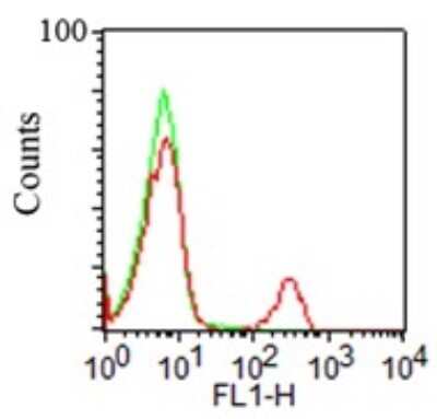 Flow Cytometry: CD19 Antibody (CB19) - Azide and BSA Free [NBP2-80634]