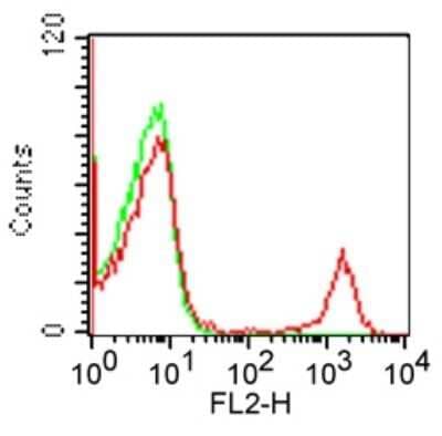 Flow Cytometry: CD19 Antibody (CB19) - BSA Free [NBP2-25196]
