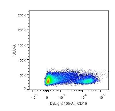 Flow Cytometry: CD19 Antibody (CB19) - BSA Free [NBP2-25196]