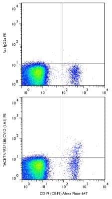 Flow Cytometry: CD19 Antibody (CB19) - BSA Free [NBP2-25196]