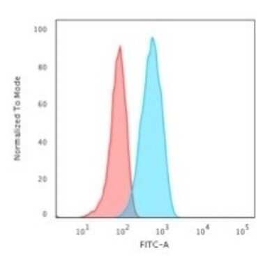 Flow Cytometry: CD19 Antibody (CVID3/155) - Azide and BSA Free [NBP2-61908]
