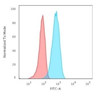 Flow Cytometry: CD19 Antibody (CVID3/429) - Azide and BSA Free [NBP2-61909]
