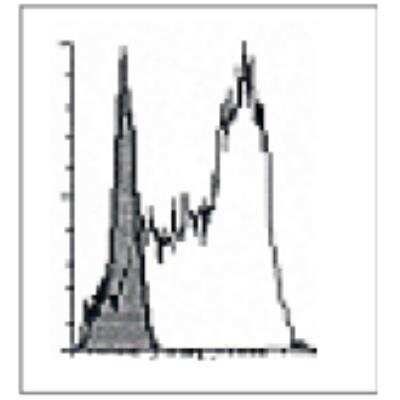 ELISA: CD1a Antibody (201B5.08) [DDX0081P-100]
