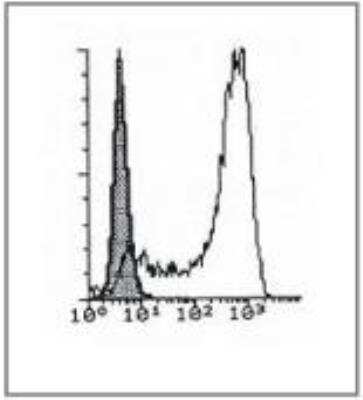 Flow Cytometry: CD1a Antibody (214A9.01) [DDX0080P-100]