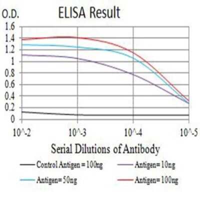 ELISA: CD1c/BDCA-1 Antibody (2A7C11) - BSA Free [NBP2-61726]