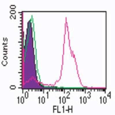 Flow Cytometry: CD2 Antibody (RPA-2.10) [NBP2-25200]