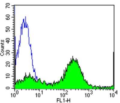 Flow Cytometry: CD2 Antibody (TS2/18) - Azide and BSA Free [NBP2-22537]