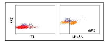 Flow Cytometry: CD2 or CD6 Predicted Antibody (LH43A) [NBP2-61101]