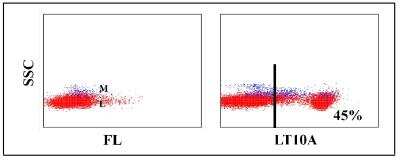 Flow Cytometry: CD2 or CD6 Predicted Antibody (LT10A) [NBP2-61100]