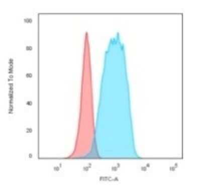 Flow Cytometry: CD20 Antibody (IGEL/773) [NBP2-44745]