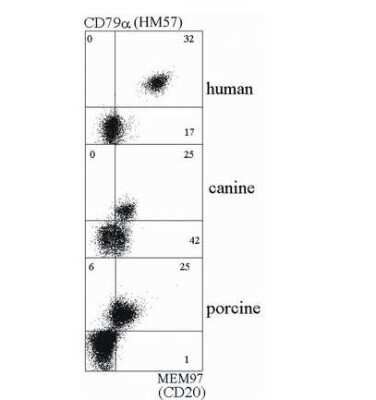 Flow Cytometry: CD20 Antibody (MEM-97) - Azide and BSA Free [NBP1-44634]
