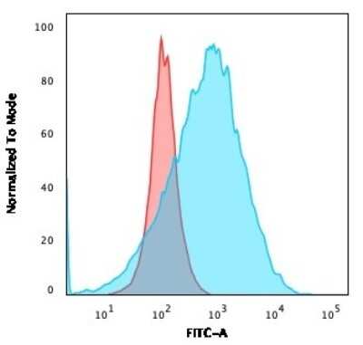 Flow Cytometry: CD20 Antibody (SPM494) [NBP2-44744]