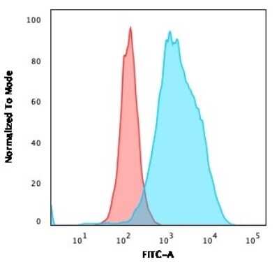 Flow Cytometry: CD20 Antibody (SPM618) [NBP2-44746]