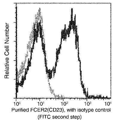 Flow Cytometry: CD23/Fc epsilon RII Antibody (007) [NBP2-90682]