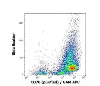 Flow Cytometry: CD27 Ligand/TNFSF7/CD70 Antibody (Ki-24) - BSA Free [NBP3-09122]