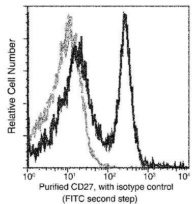 Flow Cytometry: CD27/TNFRSF7 Antibody (012) [NBP2-90423]