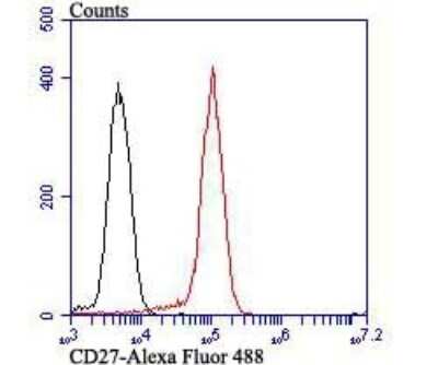 Flow Cytometry: CD27/TNFRSF7 Antibody (JB40-98) [NBP2-75434]