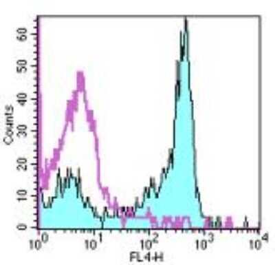Flow Cytometry: CD27/TNFRSF7 Antibody (O323) [NBP1-43426]