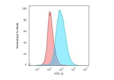 Flow Cytometry: CD28 Antibody (204.12) [NBP2-44760]