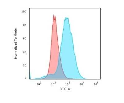 Flow Cytometry: CD28 Antibody (CB28) - Azide and BSA Free [NBP2-34592]