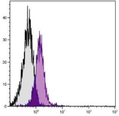 Flow Cytometry: CD28 Antibody (PV-1) - Azide and BSA Free [NBP1-27932]