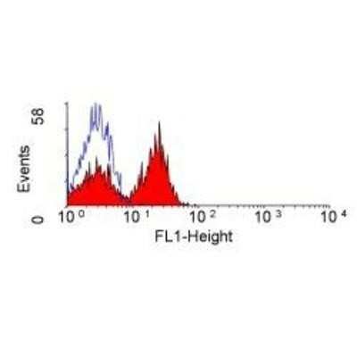 Flow Cytometry: CD28 Antibody (YTH913.12) - BSA Free [NB100-64867]