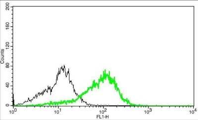 Flow Cytometry: CD3 Antibody (13) [NBP2-43674]