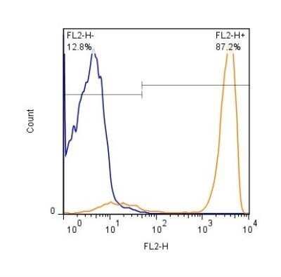 Flow (Cell Surface): CD3 Antibody (OKT3) - Low Endotoxin, Azide and BSA Free [NBP2-24867]