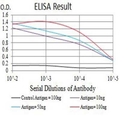 ELISA: CD3 gamma Antibody (5B7B2) - BSA Free [NBP2-61729]
