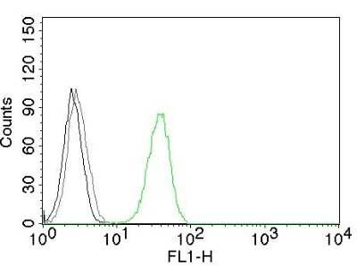 Flow Cytometry: CD31/PECAM-1 Antibody (C31.3) [NBP2-15202]