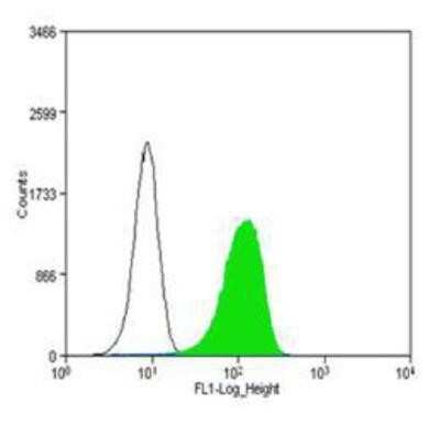Flow Cytometry: CD31/PECAM-1 Antibody (MEC 7.46) - Azide and BSA Free [NBP2-80639]
