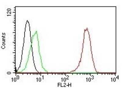 Flow Cytometry: CD31/PECAM-1 Antibody (SPM122) - Azide and BSA Free [NBP2-34732]