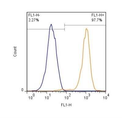 Flow Cytometry: CD31/PECAM-1 Antibody (TLD-3A12) - BSA Free [NB100-64796]