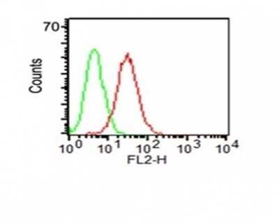 Flow Cytometry: CD34 Antibody (HPCA1/1171) [NBP2-44569]