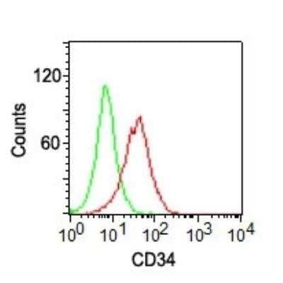 Flow Cytometry: CD34 Antibody (ICO-115) - Azide and BSA Free [NBP2-33076]